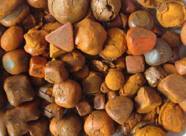 xuất khẩu lao động